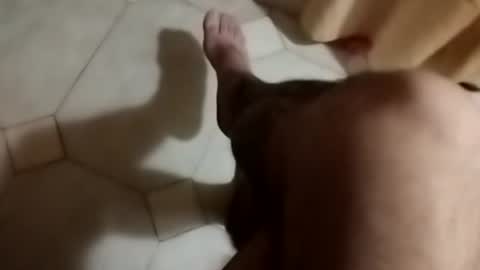 dthedog12 online show from September 2025 08:58:01 PM