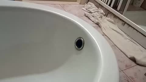 dthedog12 online show from November 2025 09:46:01 PM