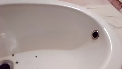 dthedog12 online show from January 2026 08:21:01 PM