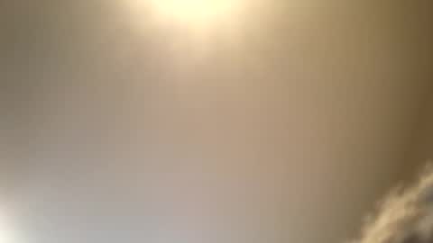 ducebabydee online show from September 2025 06:20:01 PM