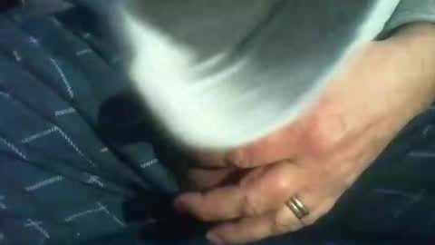 dude_13 online show from February 2025 05:09:02 AM