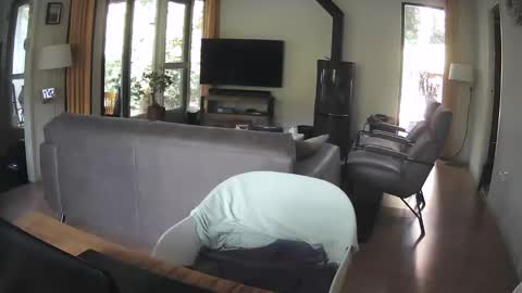 dutchsmooth online show from September 2025 09:42:02 AM