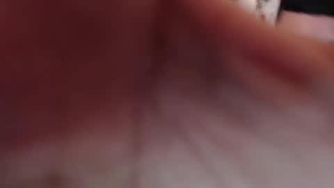 duvan_montes online show from November 2025 01:17:02 PM