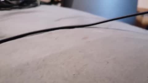 ted online show from January 2026 09:46:02 AM