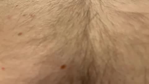 French Guy online show from April 2026 10:40:02 PM