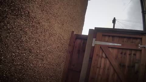 Nadia Ferreira  online show from February 2026 11:24:01 AM