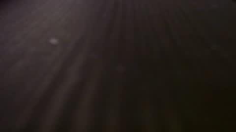 ebiminajj online show from April 2026 04:48:01 PM