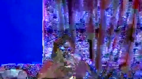 ebonybloom01 online show from September 2025 05:03:01 PM