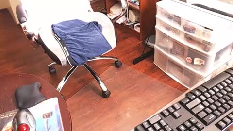 edginginedmonton online show from April 2026 06:41:01 PM