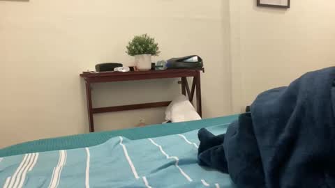 eel184 online show from March 2026 05:01:02 AM