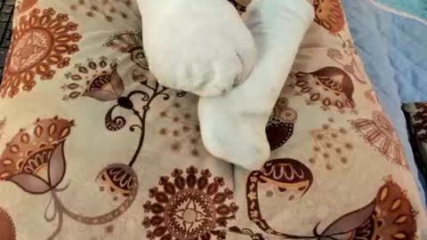 Eilin online show from July 2026 01:07:02 PM