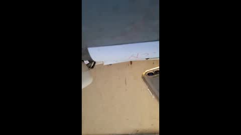 elaine33mae online show from March 2026 06:41:02 AM