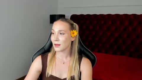 Snapshot of elaravoltage chatting on July 2026 05:17:02 PM elaravoltage online show from July 2026 05:17:02 PM