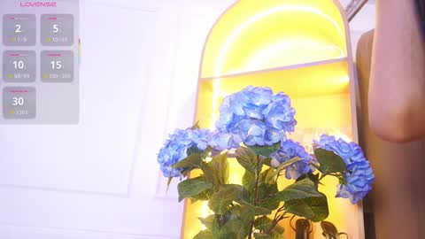 Elasummeer online show from November 2025 11:57:02 AM