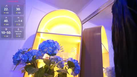 Elasummeer online show from December 2025 11:48:02 AM