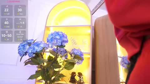 Elasummeer online show from January 2026 12:29:01 PM