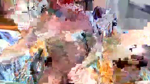 elbasca online show from February 2026 12:12:01 PM