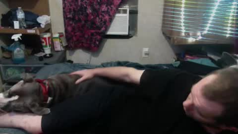 Snapshot of elegantdeviance69 chatting on December 2024 07:17:01 AM ElegantDeviance69 online show from December 2024 07:17:01 AM