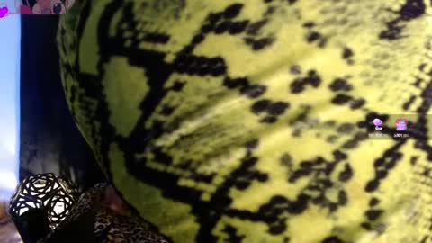 Snapshot of elektra_petite chatting on December 2024 08:36:02 PM ELEKTRA hii my birthday is tomorrow but I will celebrate it on Sunday Ill wait for you online show from December 2024 08:36:02 PM