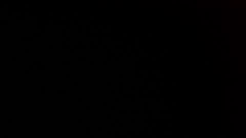 elessar_telcontar online show from January 2025 05:37:02 PM