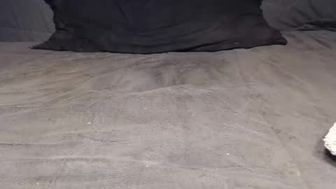 elgsslt online show from April 2026 09:51:02 AM