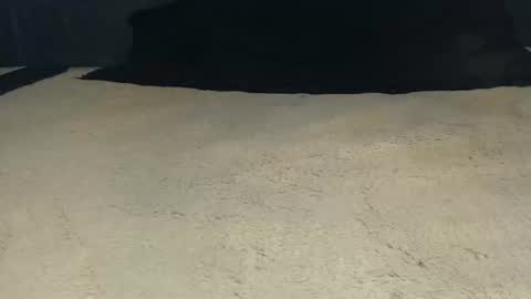 elgsslt online show from April 2026 11:05:01 AM