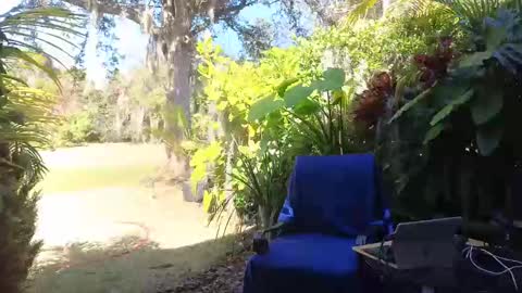 eliberator online show from February 2025 07:52:01 PM