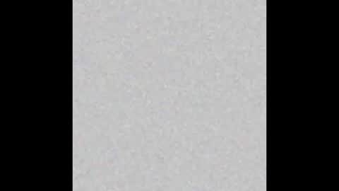 Eli Grayson online show from December 2025 12:51:01 AM