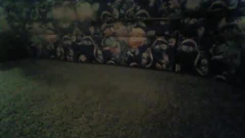 jeff online show from November 2025 08:46:01 AM