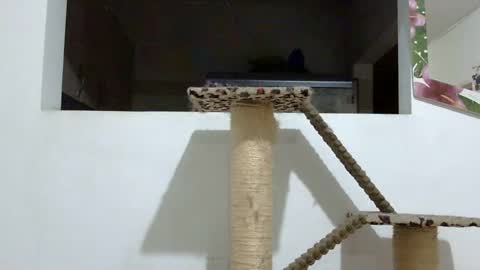 Snapshot of elizabeth_martinez_ chatting on January 2025 02:03:01 AM Elizabeth Martinez online show from January 2025 02:03:01 AM