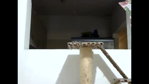 Snapshot of elizabeth_martinez_ chatting on January 2025 08:09:01 PM Elizabeth Martinez online show from January 2025 08:09:01 PM