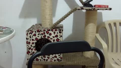 Snapshot of elizabeth_martinez_ chatting on September 2025 02:51:01 PM Elizabeth Martinez online show from September 2025 02:51:01 PM