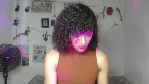  . online show from February 2026 07:12:02 PM