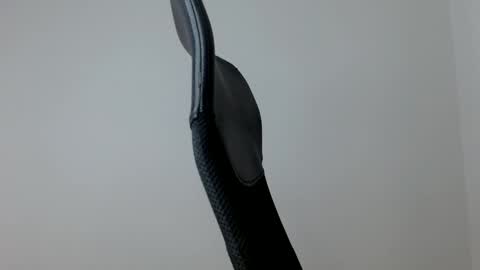 elosocazador online show from January 2026 12:31:01 PM