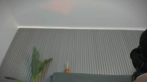 Snapshot of emelie_89 chatting on June 2026 11:35:01 AM emelie_89 online show from June 2026 11:35:01 AM