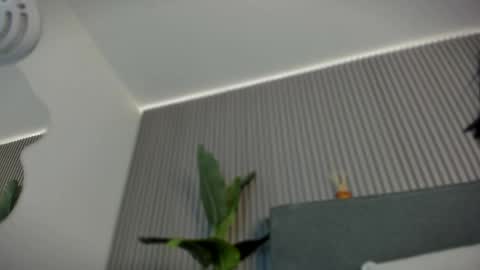 Snapshot of emelie_89 chatting on June 2026 11:48:01 AM emelie_89 online show from June 2026 11:48:01 AM