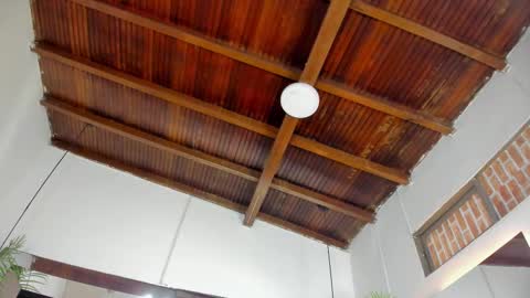 Emily  online show from November 2025 11:21:01 AM