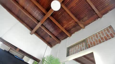 Emily  online show from April 2026 11:02:02 AM