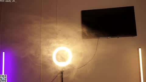 Snapshot of emilybatee chatting on December 2024 05:48:01 PM emilybatee online show from December 2024 05:48:01 PM