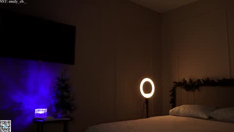 Snapshot of emilybatee chatting on January 2025 03:13:02 PM emilybatee online show from January 2025 03:13:02 PM