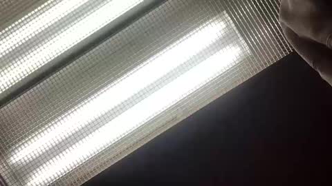 Snapshot of emilyclear chatting on May 2026 08:21:02 AM emilyclear online show from May 2026 08:21:02 AM