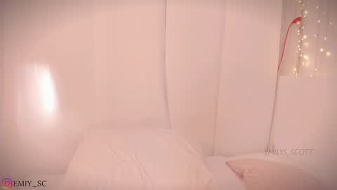 Snapshot of emilys_scott chatting on January 2025 07:49:01 PM Emy online show from January 2025 07:49:01 PM