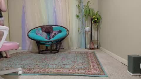 emily haze online show from October 2025 06:26:02 PM