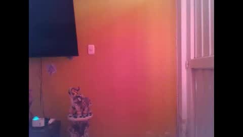 EmmaSplycer online show from April 2026 09:16:02 PM