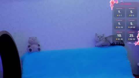 Ki online show from October 2025 11:49:01 PM