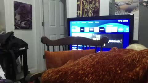 empusalamia online show from January 2025 09:57:02 AM