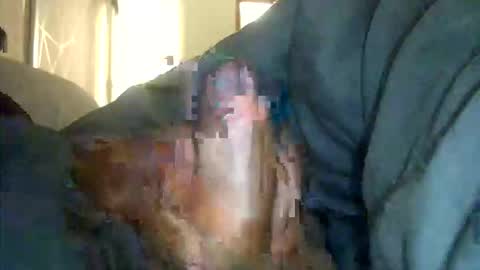 encormoi online show from March 2026 08:09:02 AM