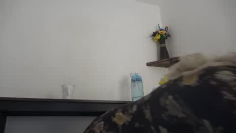 Rosie online show from February 2025 10:51:01 AM