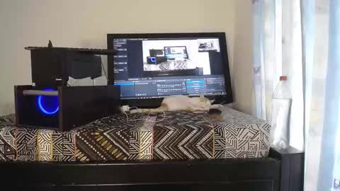 Eolicasextwo online show from December 2025 09:10:02 PM