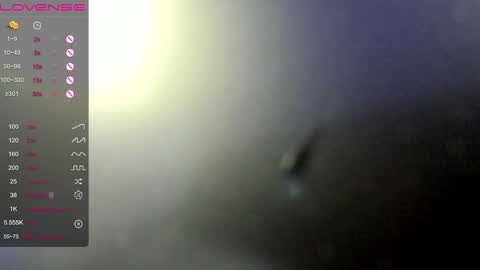 Erica online show from January 2025 12:33:01 AM